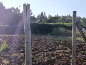 100x100 Plot for Sale, Thigio