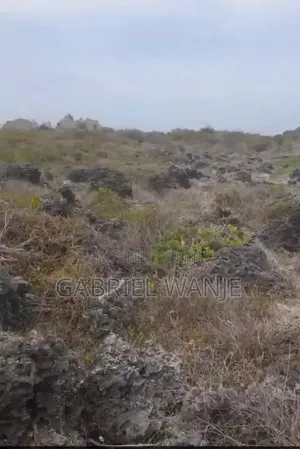 Kiwanja cha Pwani kwa Mauzo Mayungu, Watamu