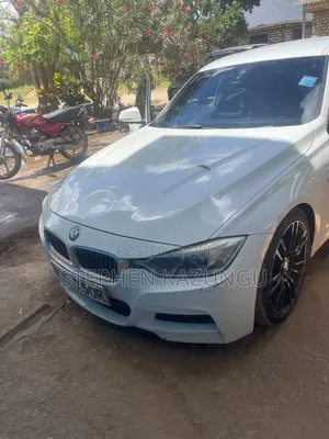 BMW 320i 2014 Nyeupe