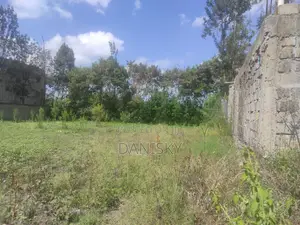 Kiwanja cha 100x100 Kinauzwa, Nyuma ya 3D Githurai