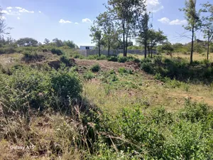 Viwanja vya Makazi 100x100ft kwa Mauzo O/Rongai Masaai Lodge