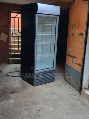 Commercial Wine, Water, and Liquor Display Fridge