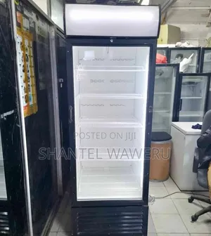 Black Display Fridge 600L Glass Door