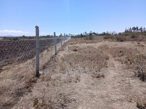 2 Acres Nanyuki Mirera Land for Sale
