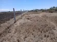 2 Acres Nanyuki Mirera Land for Sale - 2