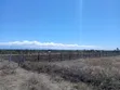 2 Acres Nanyuki Mirera Land for Sale - 4