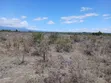 2 Acres Nanyuki Mirera Land for Sale - 5