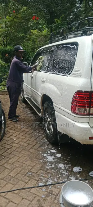 Professional Lawn Mowing, Garden Care & Mobile Car Wash
