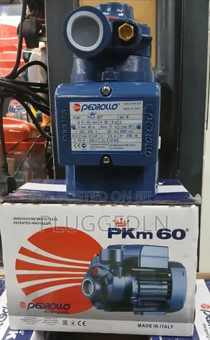 Pedrollo 0.5HP Pump ya Maji ya Pembeni