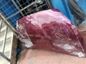 Bonnet ya Nissan - Model ya 2017