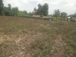 Kitalu cha 50x100 Kinauzwa Mariguini, Nakuru
