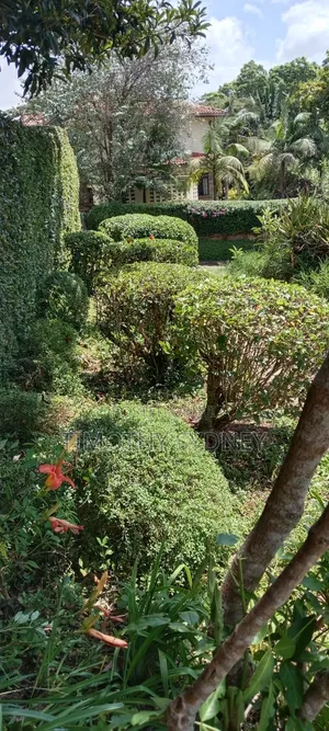 Monifa Garden: Professional Lawn Mowing & Care