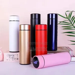 Kopo la Vacuum la 500ml la LED lenye Ukuta Mbili
