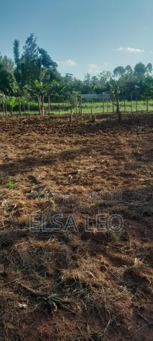 Prime 100x100ft Plot for Sale - Mosocho, Kisii