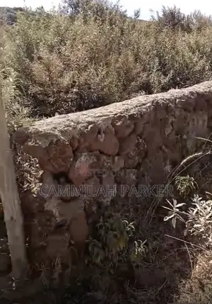 1.045 Acres Land for Sale, Ewaso Kendong