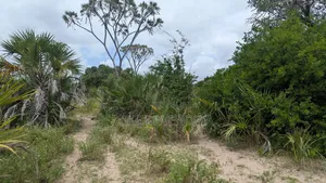 Witu Farmland for Sale - 8 Acres