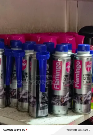 Kisafishaji cha Mfumo wa Catalytic 300ml kwa Mfumo wa Kutolea Moshi na Mafuta