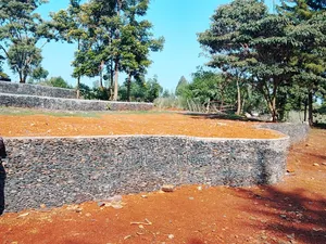 Stone Pinched Walls and Landscaping Services