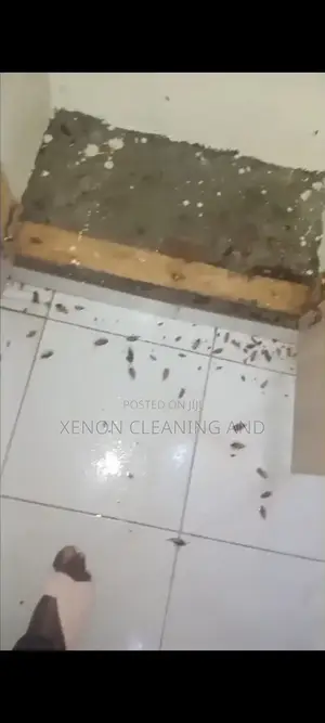 Huduma ya Fumigation ya Xenon