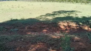 Kitalu cha Makazi kwa Uuzaji Joska
