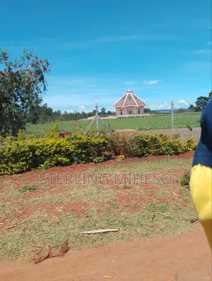 Kitalu cha Kantafu Kinauzwa