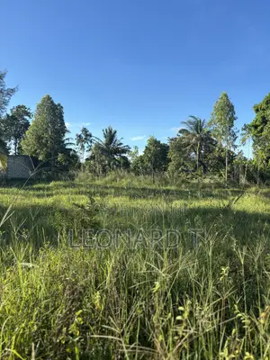Ardhi kwa Ajili ya Kuuzwa Diani