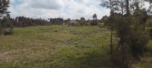 8 Acres Fertile Farmland for Sale near Njabini/Naivasha