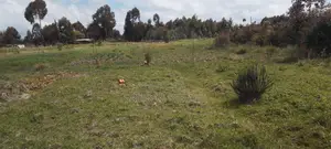 8 Acres Fertile Farmland for Sale near Njabini/Naivasha