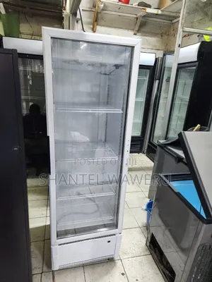400L Display Chiller - Kina Nafasi