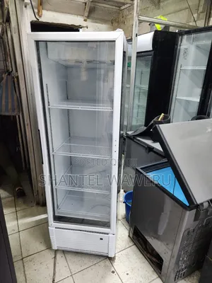 Display Fridge - Lita 400