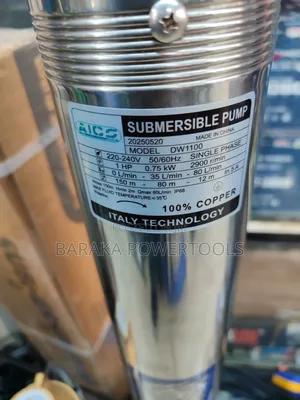 AICO DW1100 Submersible Water Pump ya Stainless Steel