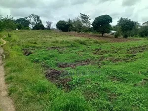 Two Acre Land for Sale in Mtepeni