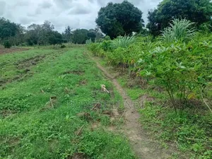 Two Acre Land for Sale in Mtepeni