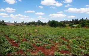 10 Acres Prime Agricultural Land in Gathigiriri, Mwea