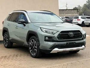 2019 Toyota RAV4 Adventure Package