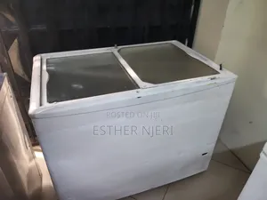 Freezer ya Onyesho ya Lita 300