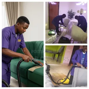 Professional Sofaset & House Cleaning Services