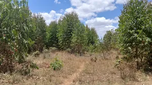 Eneo la Ekari 5 kwa Ajili ya Makazi, Tuala, Rongai