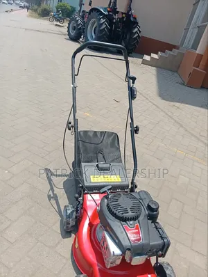 Red Petrol Lawn Mower - Injini ya Loncin 123cc