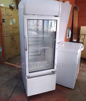 Medium Canopy Display Fridge - 300 Litres