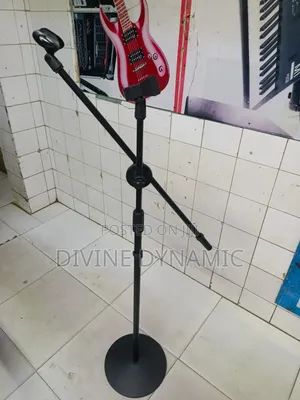 Professional Microphone Stand - Brand New