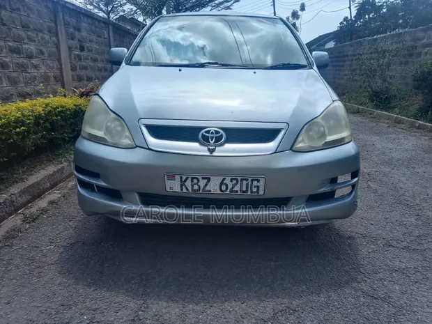 Toyota Ipsum 2007 Fedha - 1