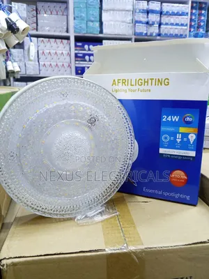 Ceiling Light - 3 Color Options