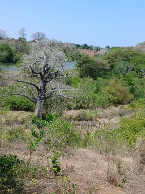 Ekari 5 za Ardhi Huru kwa Mauzo Kilifi Karibu na Mavueni Centre