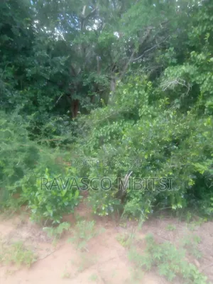 200 Acres Land for Sale in Malindi Baricho