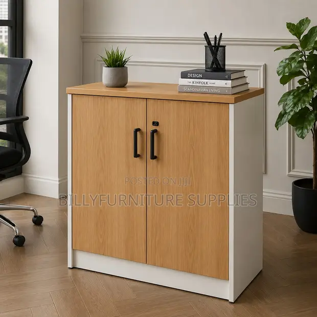 Executive Filing & Document Organizer Cabinet - 1