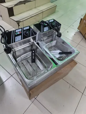 Premier Quality Double Professional Fryer