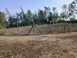 0.1ha Plot for Sale in Bondo near JOOUST