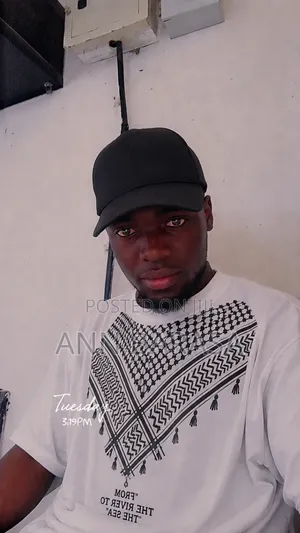 Mtaalamu wa IT Anatafuta Ajira