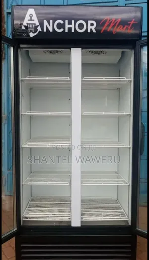 Friji la Kuonyesha la Milango 2, Lita 1000